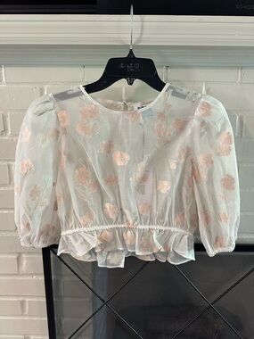 Sheer Pale Pink Floral Puff-Sleeve Crop Blouse